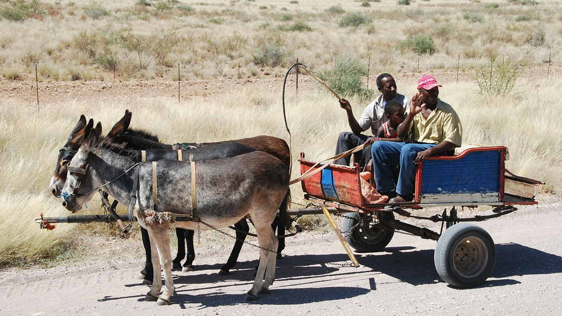 [FP024 - Namibia] Empower to Adapt: Creating Climate-Change Resilient Livelihoods through Community-Based Natural Resource Management (CBNRM) in Namibia