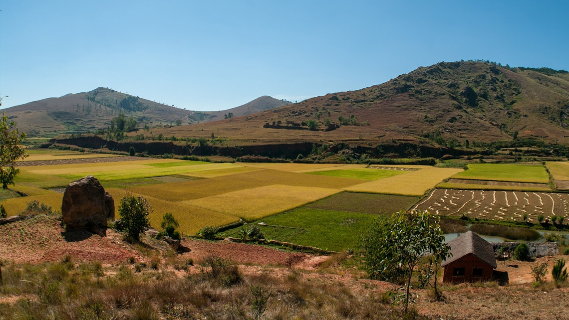 [FP026 - Madgascar] Sustainable Landscapes in Eastern Madagascar