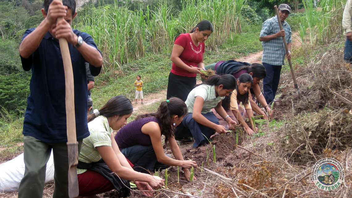 [FP048 - Guatemala, Mexico] Low Emissions and Climate Resilient Agriculture Risk Sharing Facility