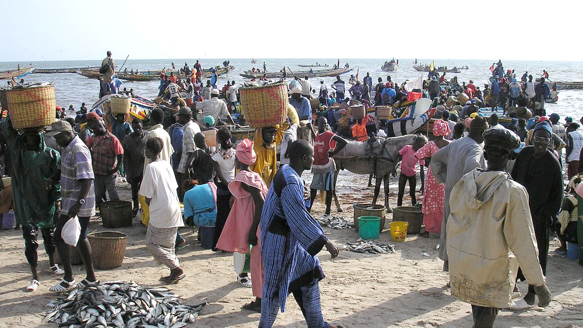 [FP049 - Senegal] Building the climate resilience of food insecure smallholder farmers through integrated management of climate risks (the R4 Rural Resilience Initiative) ***