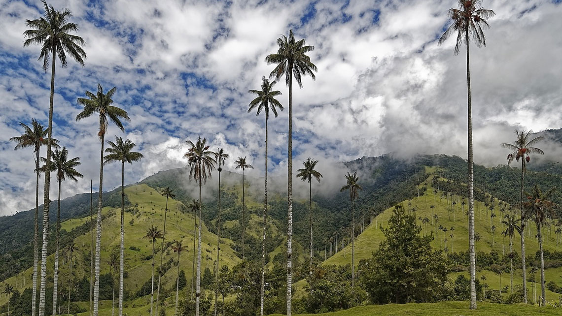 [FP203 - Colombia] Heritage Colombia (HECO): Maximizing the Contributions of Sustainably Managed Landscapes in Colombia for Achievement of Climate Goals