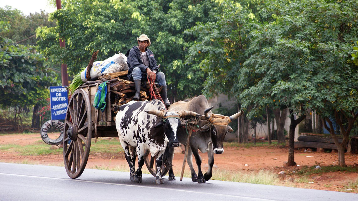 [FP062 - Paraguay] Poverty, Reforestation, Energy and Climate Change Project (PROEZA)