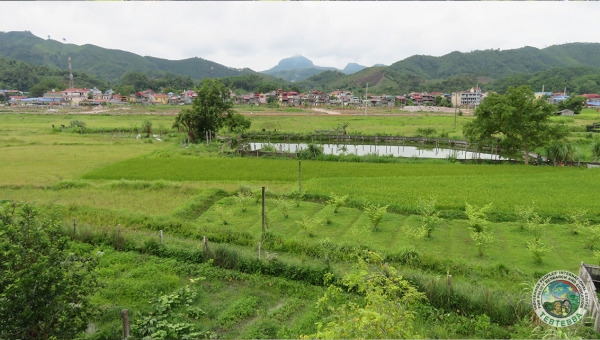 [FP125 - Vietnam] Strengthening the resilience of smallholder agriculture to climate change-induced water insecurity in the Central Highlands and South-Central Coast regions of Vietnam